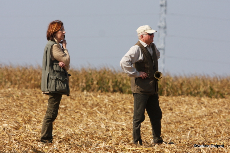 Field Erstein 09 (65).JPG